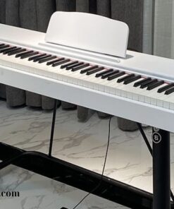 Đàn Piano Điện Tử Electronic (2)