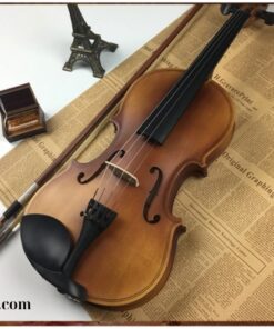 Đàn Violin Woim Chuẩn Quốc Tế (1)