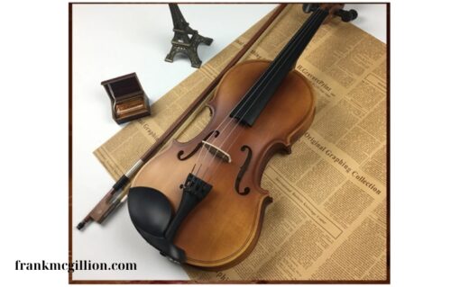 Đàn Violin Woim Chuẩn Quốc Tế (1)