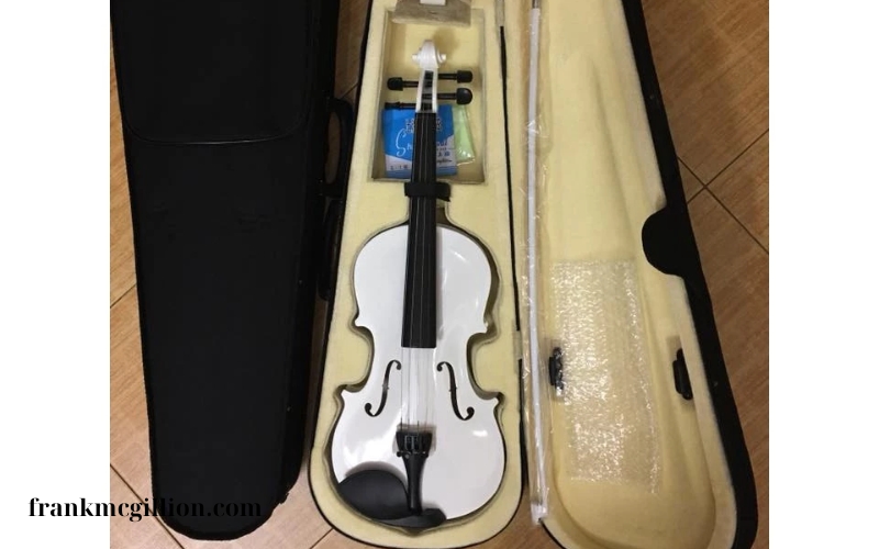 Đàn Violin Woim Chuẩn Quốc Tế (2)