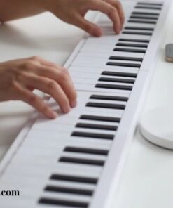 Đàn piano điện gấp gọn (1)