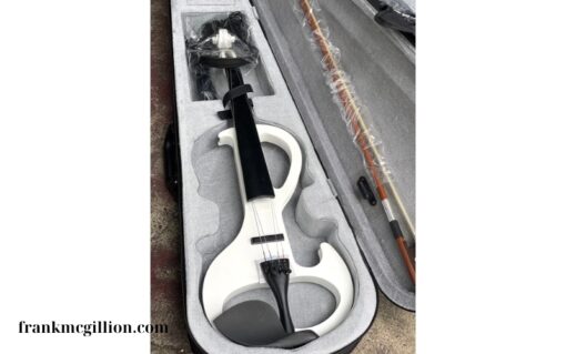 Đàn violin điện tử (1)