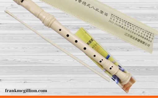 Nhạc cụ hơi Clarinet 8 lỗ (1)