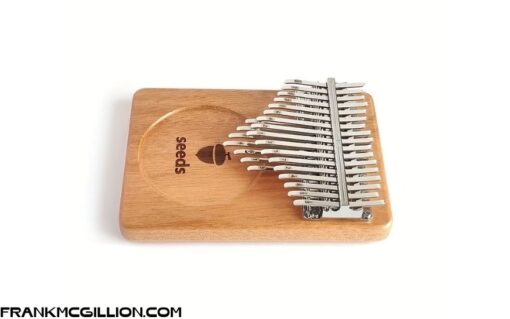 Hạt giống 21 phím Kalimba ngón tay cái