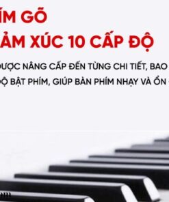 Đàn Piano điện cao cấp (1)