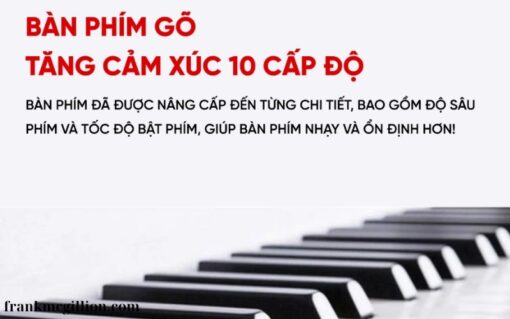 Đàn Piano điện cao cấp (1)