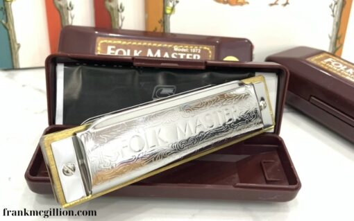 Kèn Harmonica Diatonic (2)