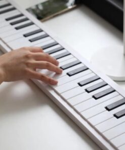 Đàn piano điện 61 phím (2)